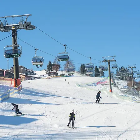 Sunny Alpine By The Slopes *