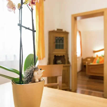 Apartment In Kaprun Salzburgerland Near Ski Area * Kaprun